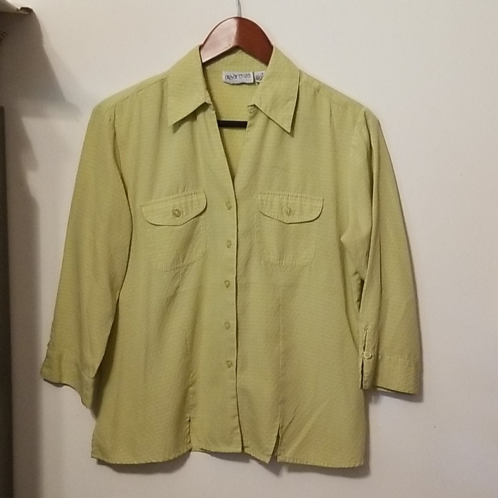 Apparenza Button Down Blouse